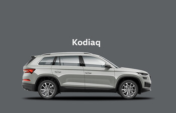 Skoda Kodiaq Style 2,0 TSI 4x4 | 140 kW (190 PS), 7-Gang Automatik