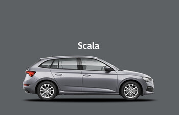 ŠKODA Scala Drive | 1.0 TSI, 70 kW (95 PS), 5-Gang